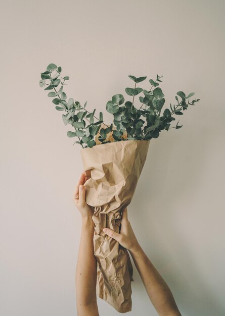 Photo close-up of hand holding plant against white background