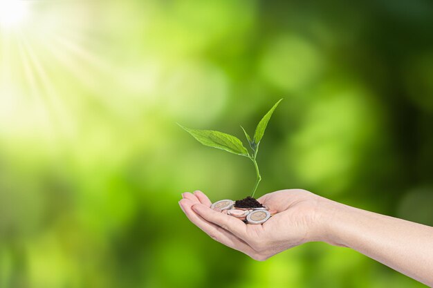 Photo close-up of hand holding plant and coins