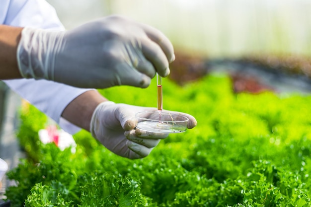 close-up of hand holding plant on field
