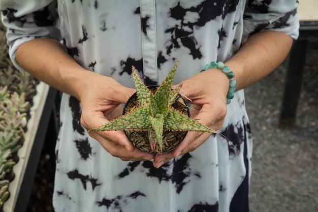 Photo close-up of hand holding plant