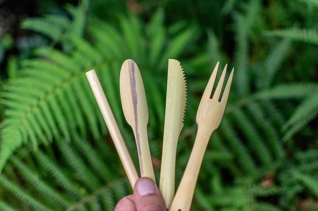 Photo close-up of hand holding plant