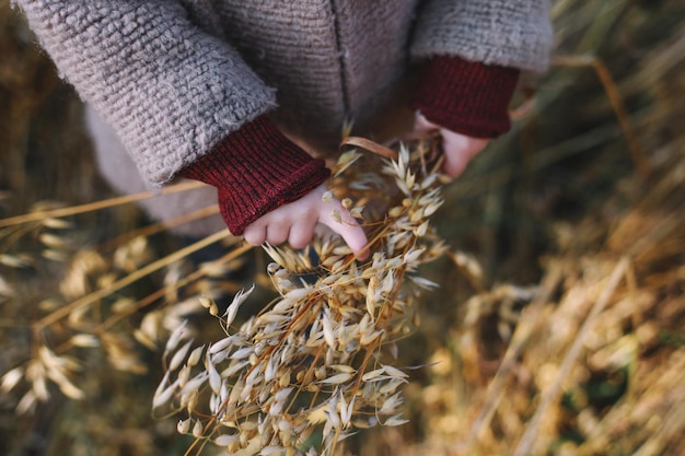 Foto prossimo piano dell'impianto di tenuta a mano