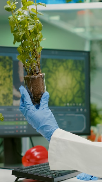 Photo close-up of hand holding plant