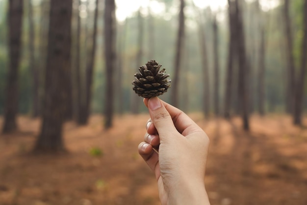 Foto prossimo piano dell'impianto di tenuta a mano