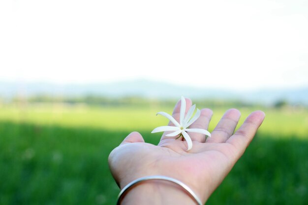 Photo close-up of hand holding plant