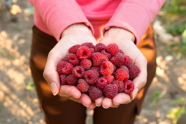 Photo close-up of hand holding raspberries