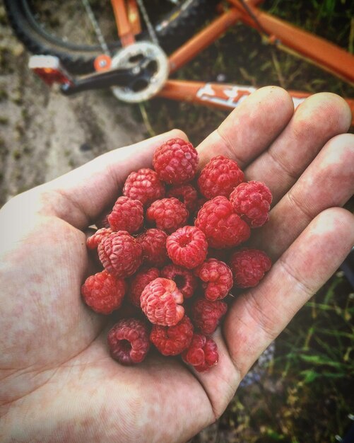 Photo close-up of hand holding raspberries