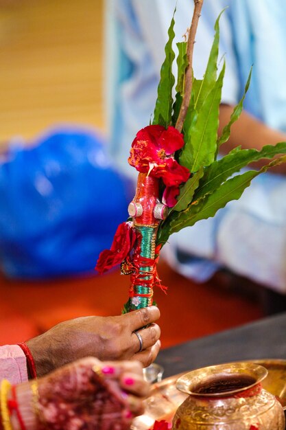 Close-up of hand holding red berries