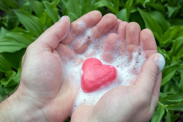 Close-up of hand holding red leaf