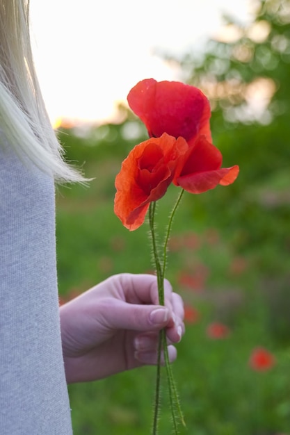 Foto close-up di una mano che tiene un fiore di papavero rosso