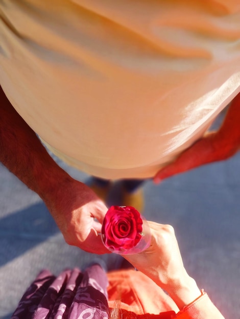 Foto close-up di una mano che tiene una rosa rossa