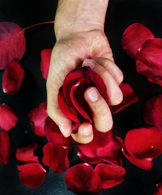 Photo close-up of hand holding rose petals