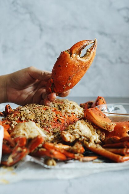 Close-up of hand holding seafood served in plate