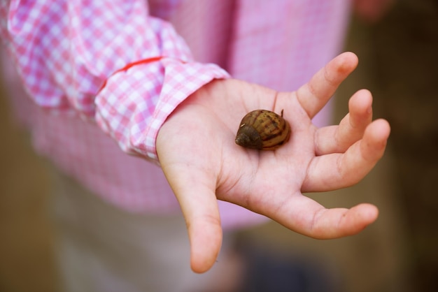 close-up of hand holding shell