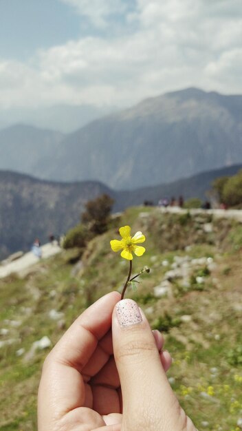 Foto close-up di una mano che tiene un piccolo fiore