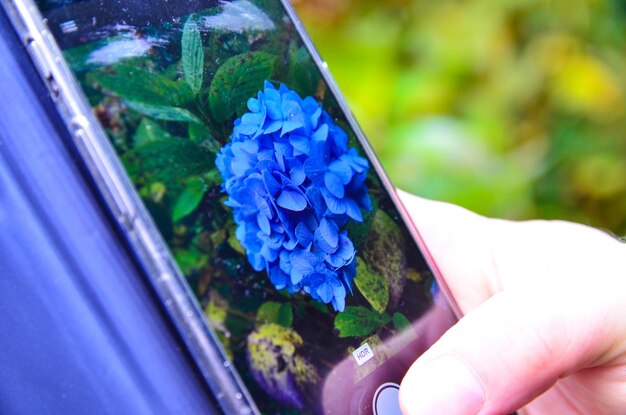 Close-up of hand holding smart phone