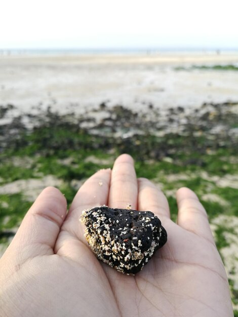 Foto close-up di una mano che tiene una pietra sulla spiaggia