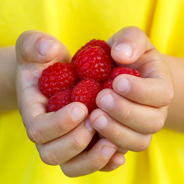 Photo close-up of hand holding strawberries