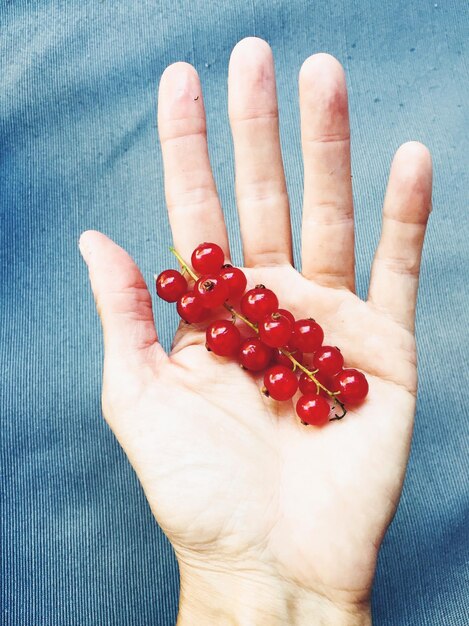 Close-up of hand holding strawberries