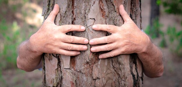 Foto close-up di un tronco d'albero tenuto in mano