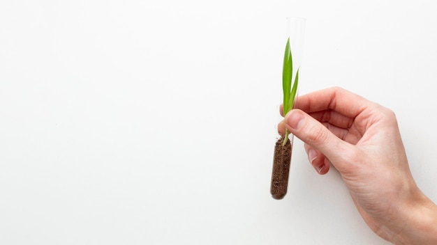 Photo close-up hand holding tube with plant