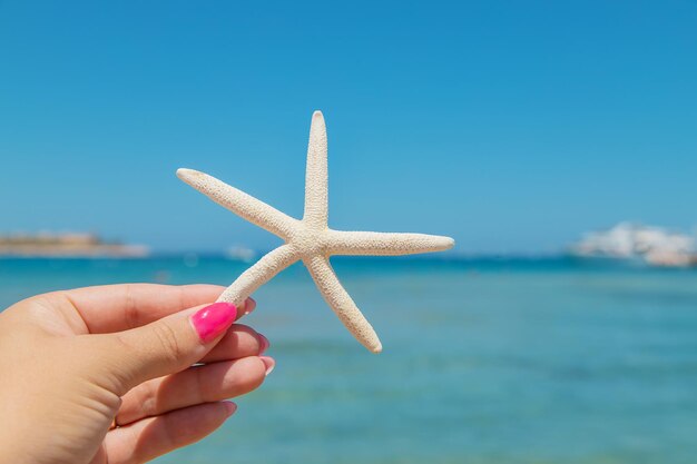 Close-up of hand holding umbrella against sea