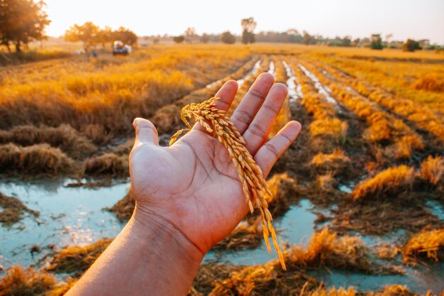 Foto close-up di una mano che tiene un ombrello a terra