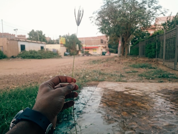 Близкий план руки, держащей воду