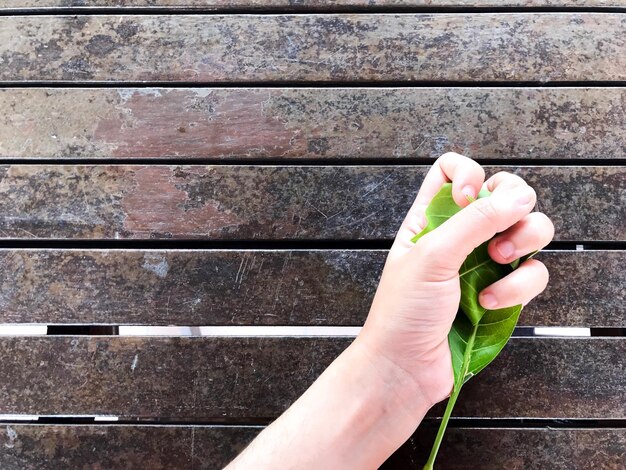 Photo close-up of hand holding wood