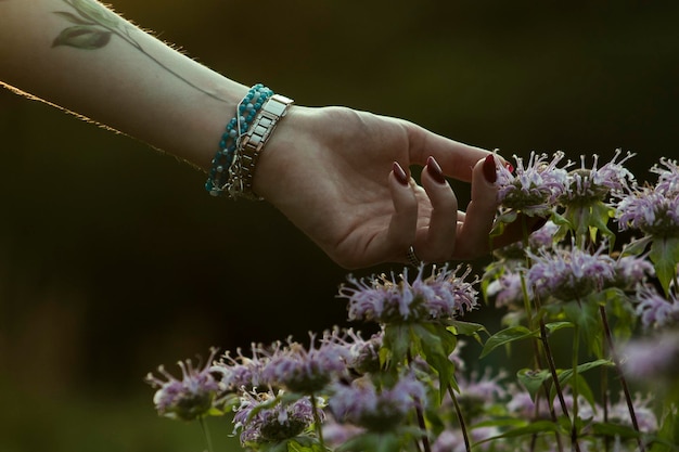 紫色の花の植物の手のクローズアップ