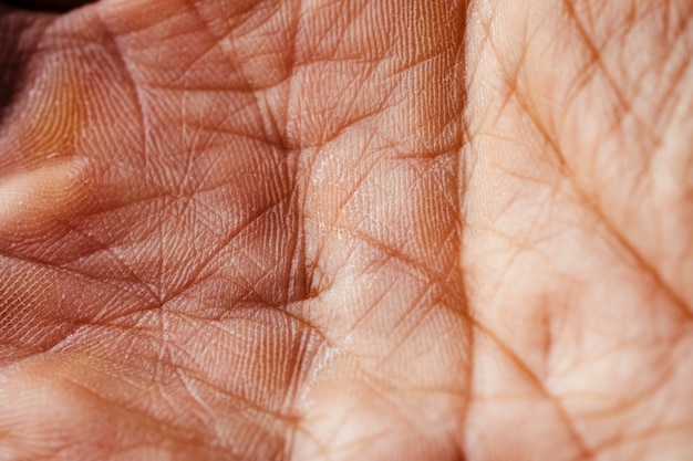 Close up of hand skin