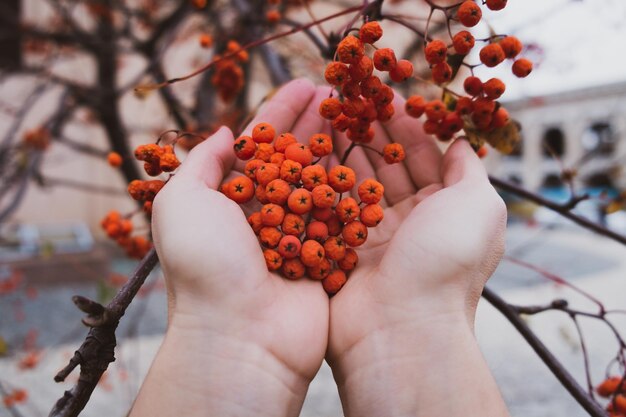 Foto close-up della mano che tocca la frutta