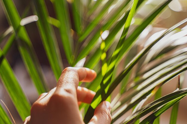 Foto prossimo piano dell'impianto che tocca la mano