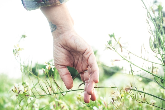 Close up of hand touching softly green grass and blossom Welcome spring Springtime and outdoors leisure activity People loving nature park Caring ambient and nature Earth's day concept lifestyle