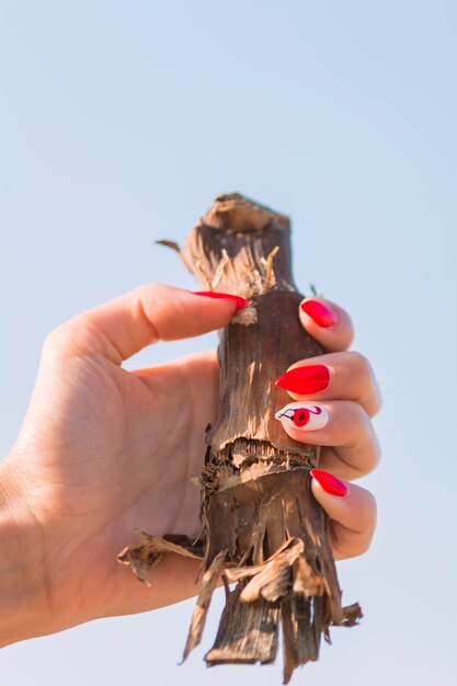 Photo close-up of hand