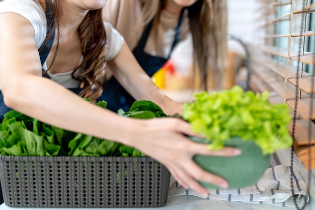 Close-up handen bereiden van gezond voedsel met salade groenten Het schone dieetvoedsel van lokale producten en ingrediënten Markt vers