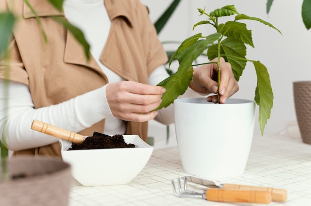 Foto close-up handen met plant