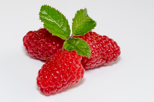 close-up of a handful of raspberries on white background