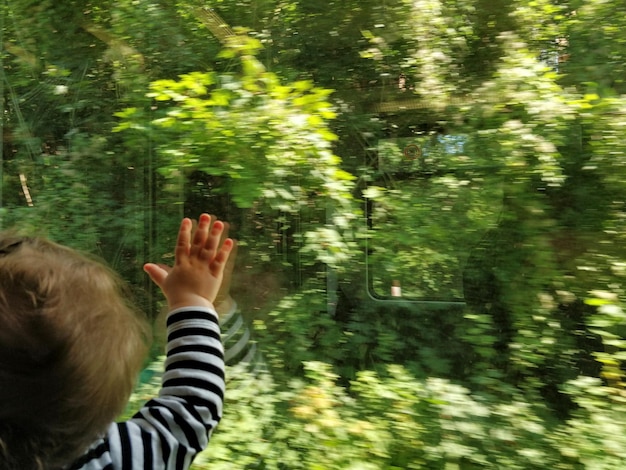 Close-up of hands in forest