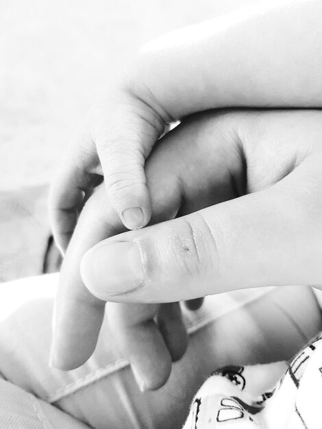 Close-up of hands holding baby