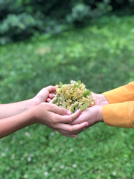 Foto close-up di mani che tengono fiori sul campo