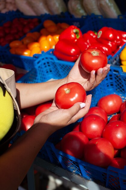 Primo piano delle mani che tengono i pomodori biologici