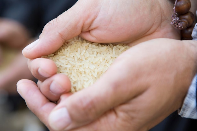 Close-up of hands holding rice