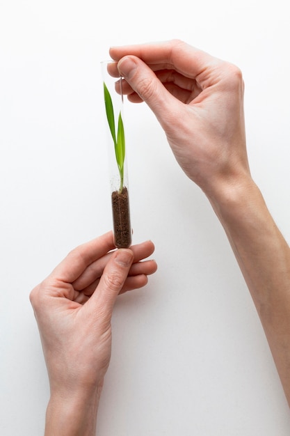 Photo close-up hands holding tube with plant