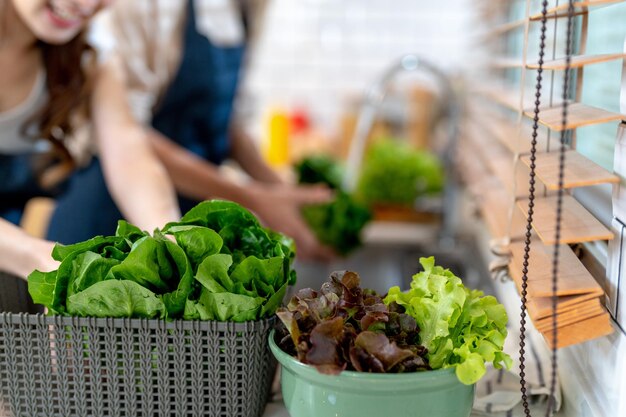 写真 サラダ野菜を使った健康的な食べ物を準備する手をクローズアップ地元の製品や食材を使用したクリーンなダイエット食品市場の新鮮な