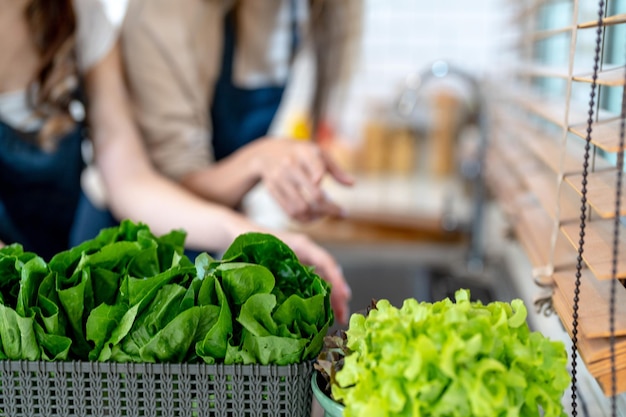 샐러드 야채로 건강에 좋은 음식을 준비하는 손을 닫습니다현지 제품과 재료로 만든 깨끗한 다이어트 식품 신선한 시장