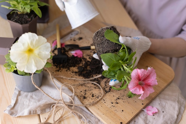 植物の世話をしている手をクローズアップ