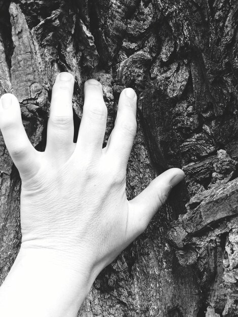 Photo close-up of hands on tree trunk