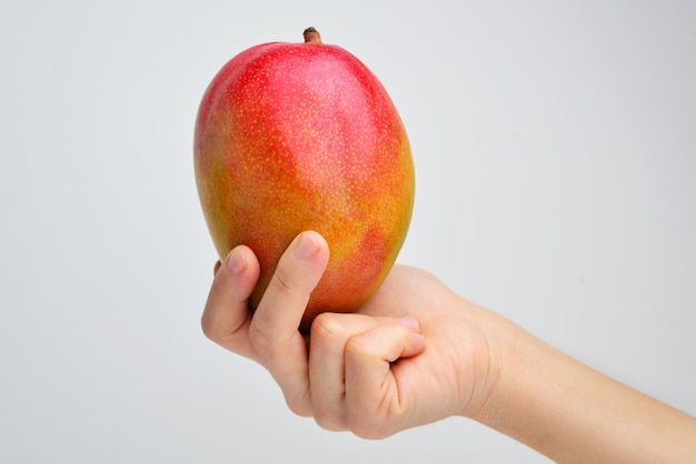 Close up hands young woman holding fresh mango on white isolated background