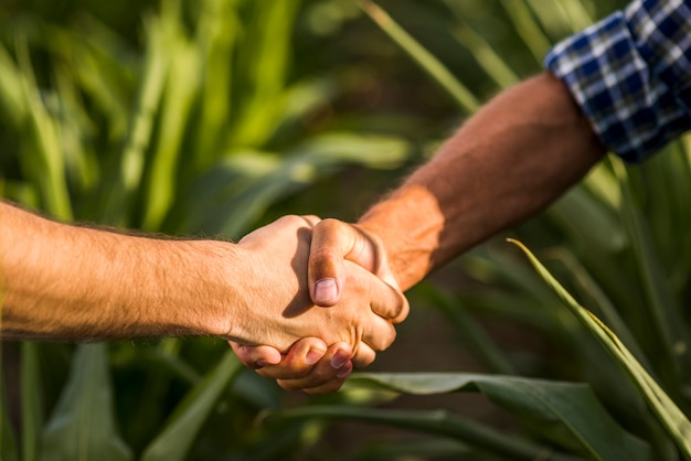 Foto chiuda in su stretta di mano all'aperto